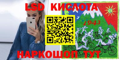 крисы Шебекино