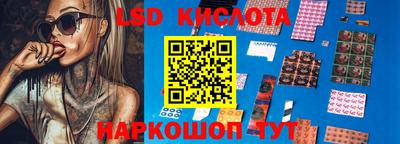 крисы Шебекино