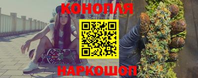 крисы Шебекино