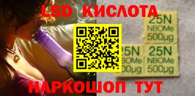 крисы Шебекино