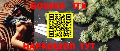 крисы Шебекино