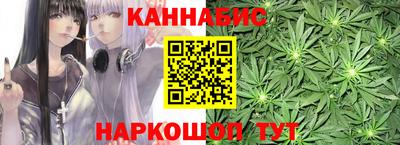 крисы Шебекино