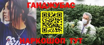 крисы Шебекино