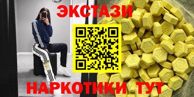 крисы Шебекино